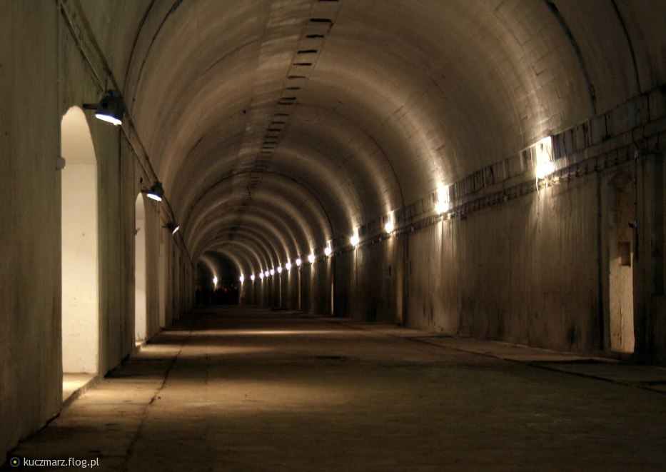 schron stępina