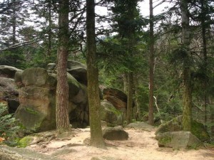 Park Krajobrazowy 3